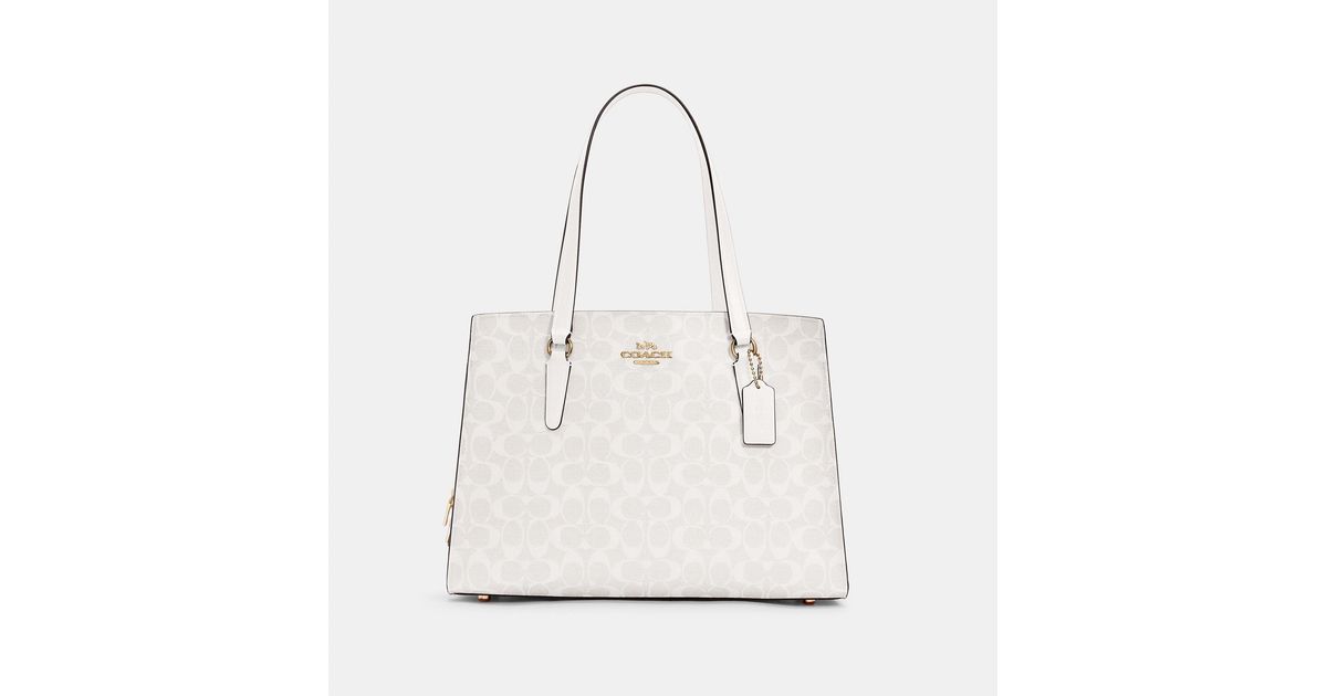 coach carryall 40