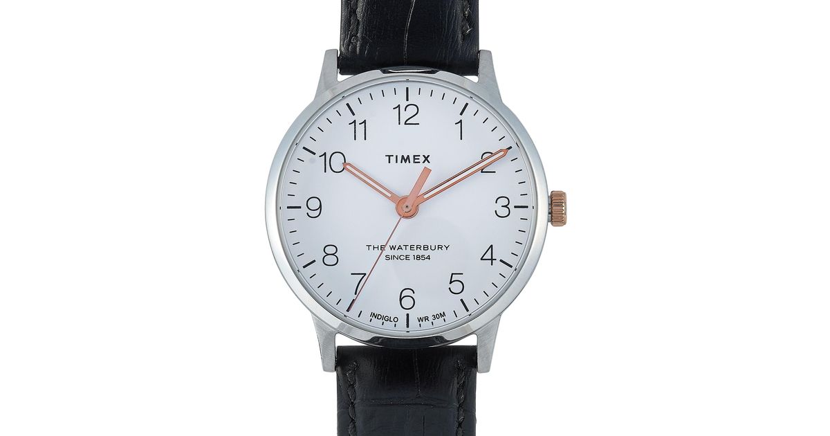 Timex waterbury classic 36mm sale