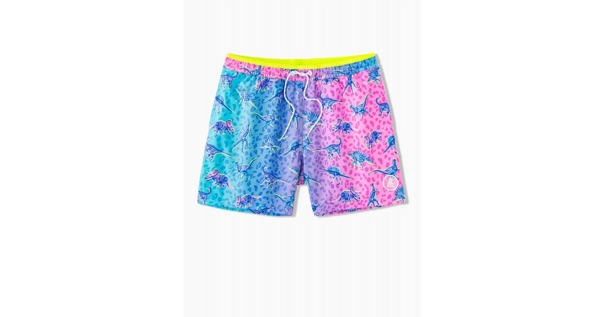 Chubbies Dino Delights 5.5