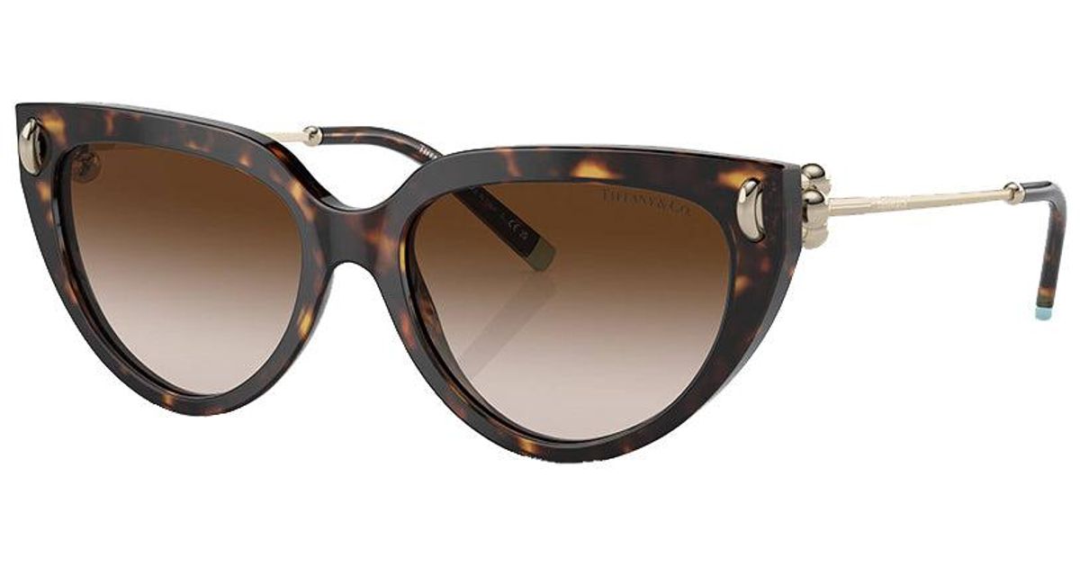 Tiffany & Co. Tf 4195 80153b 54mm Cat-eye Sunglasses in Brown | Lyst