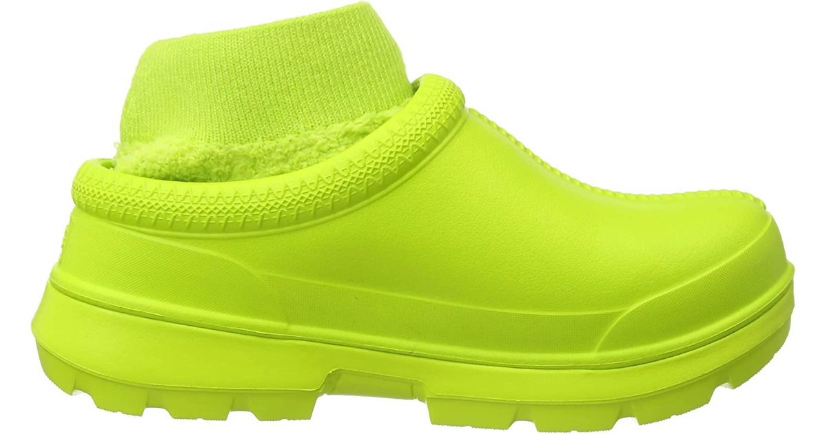 tasman uggs with red trim