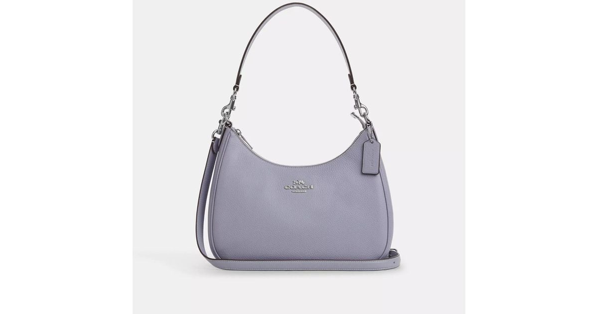 coach-multi-Teri-Hobo-Bag.jpeg