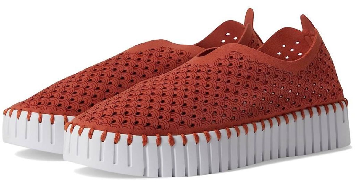 ilse jacobsen slip on