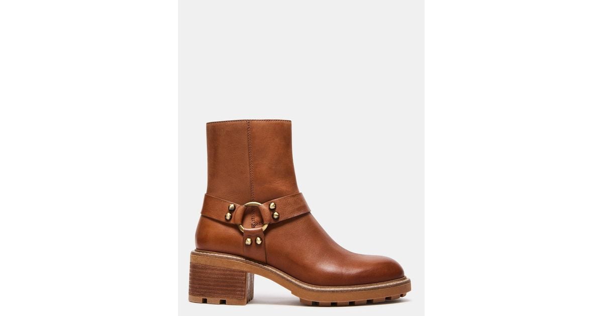 steve madden karolyn cognac