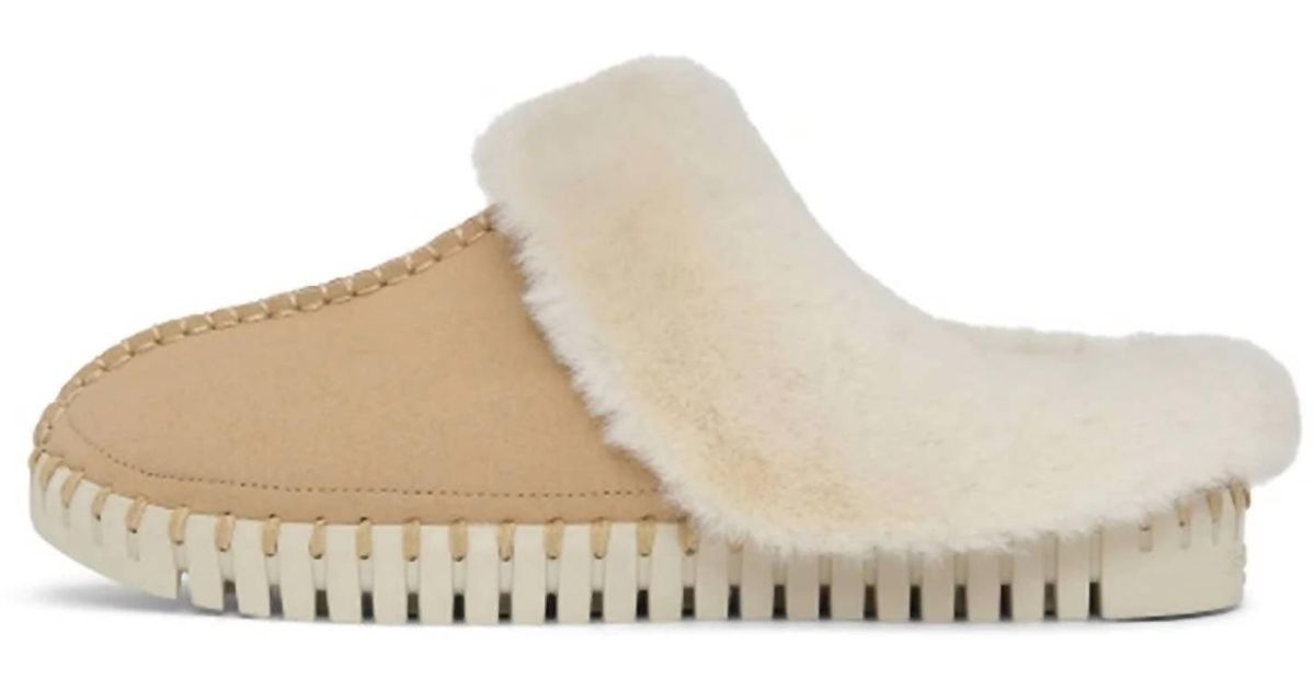 ilse jacobsen tulip latte