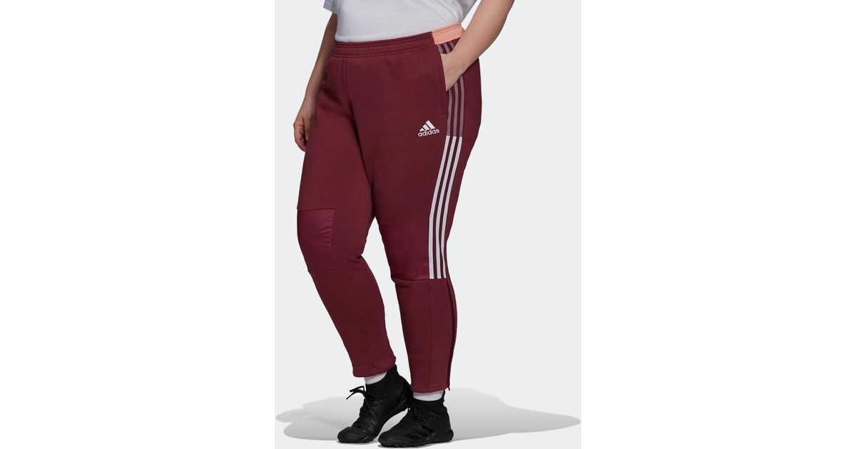 favorites winterized track pants