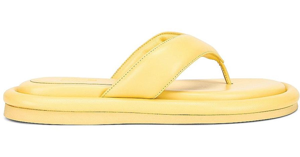 Gia Borghini Gia 5 Leather Thong Sandal in Yellow | Lyst UK