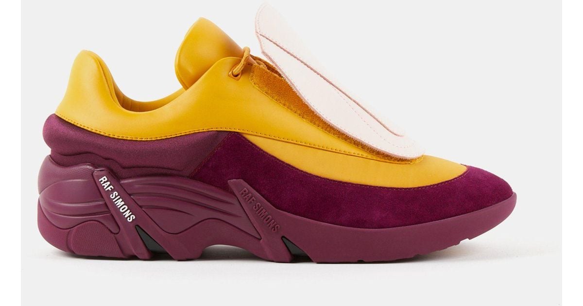 Raf Simons Leather Antei Sneaker - Yellow / Aubergine - Lyst