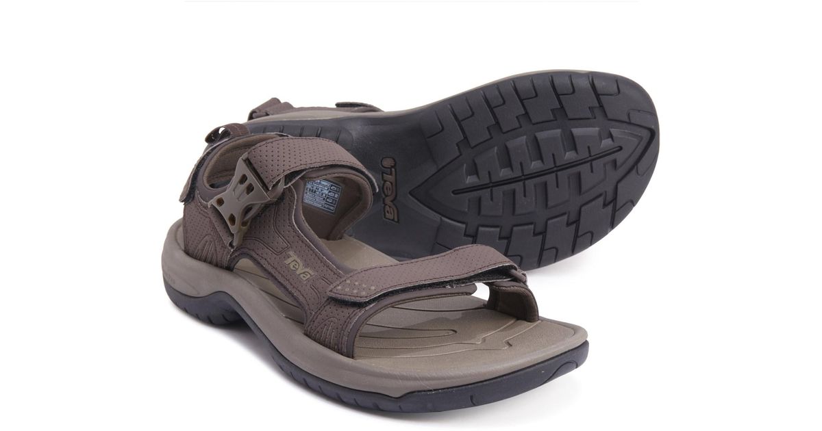teva holliway