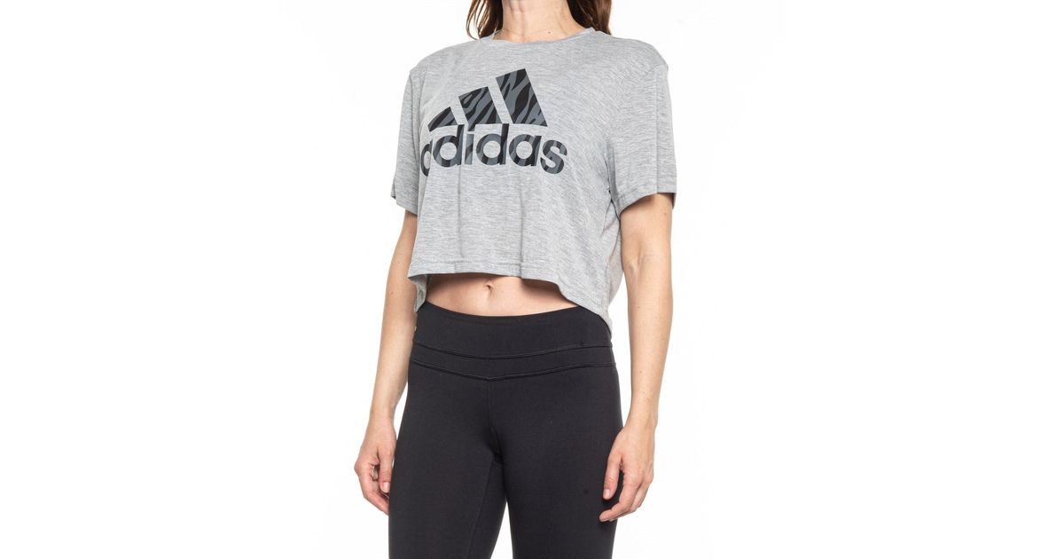 adidas Designed To Move Animal Print Crop T-shirt in Gray | Lyst