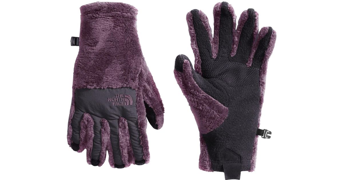 the north face women's denali thermal etip gloves