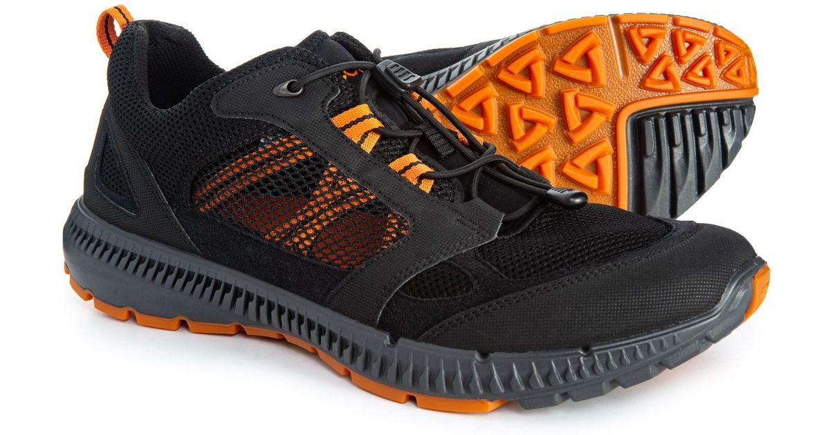 ecco men's terracruise