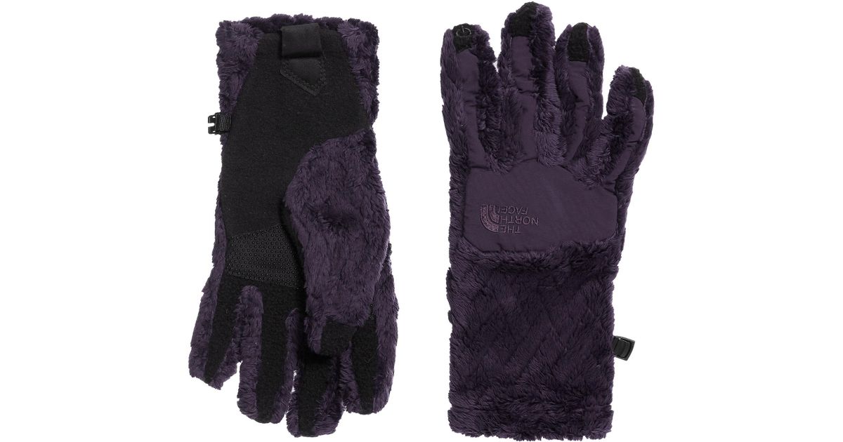 purple north face gloves