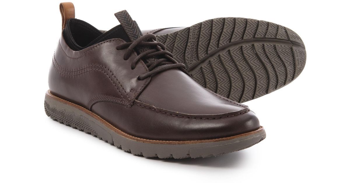 hush puppies expert