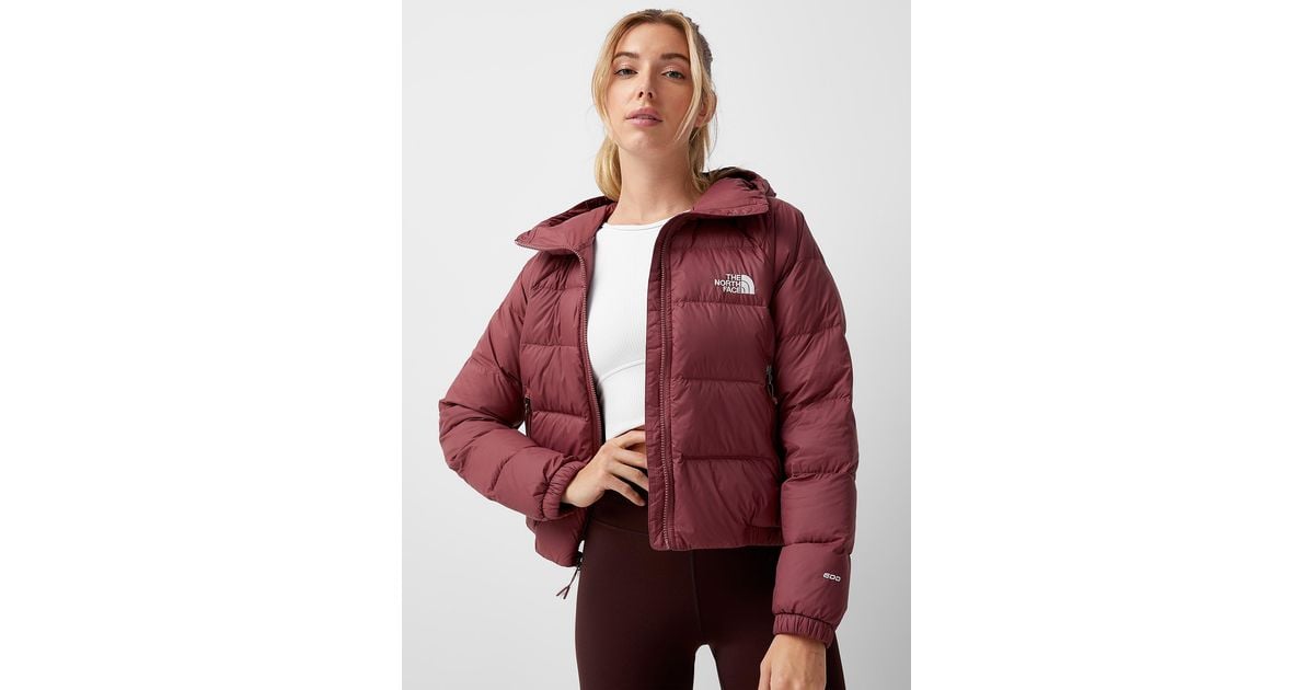 The North Face Goose Hydrenalite Cropped Hooded Puffer Jacket in Cherry