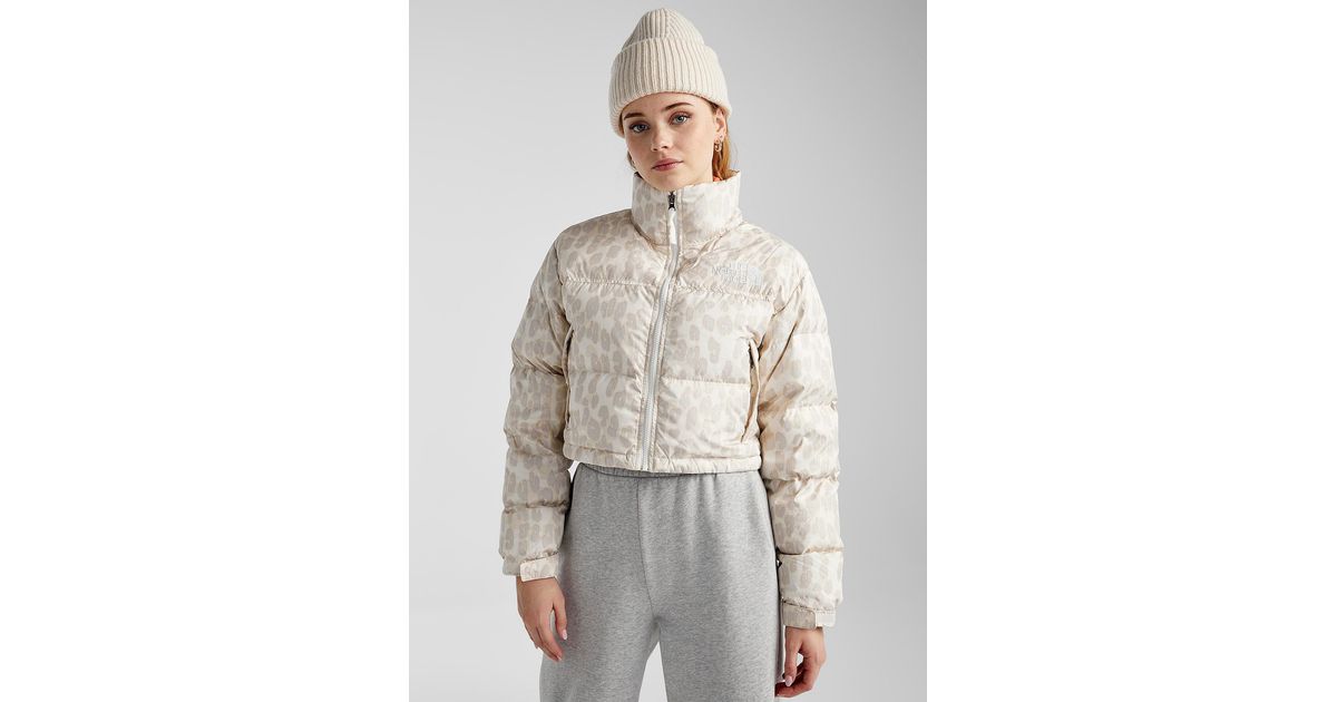 Tnf clearance leopard nuptse