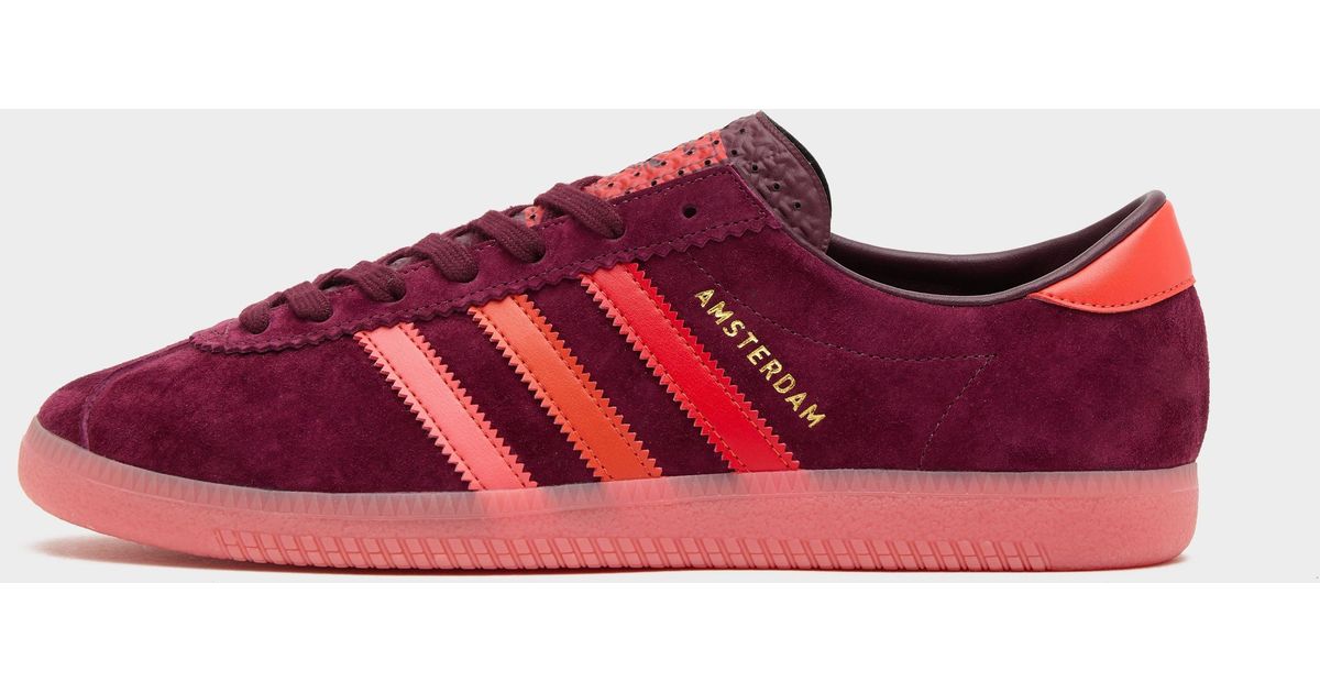 Adidas amsterdam trainers best sale