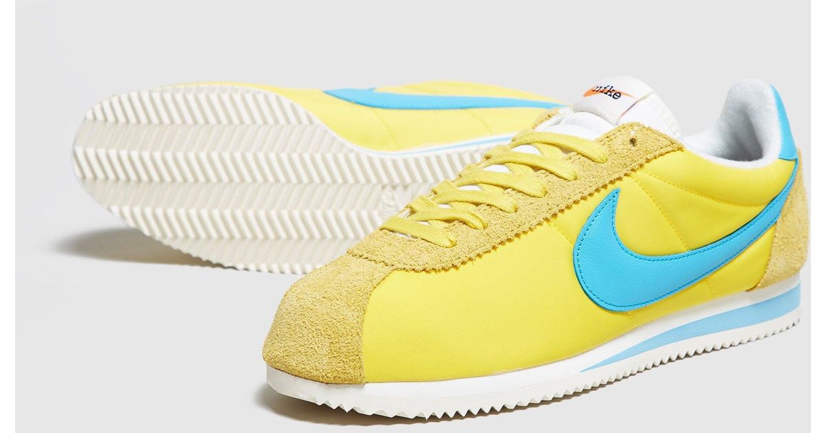 blue and yellow cortez