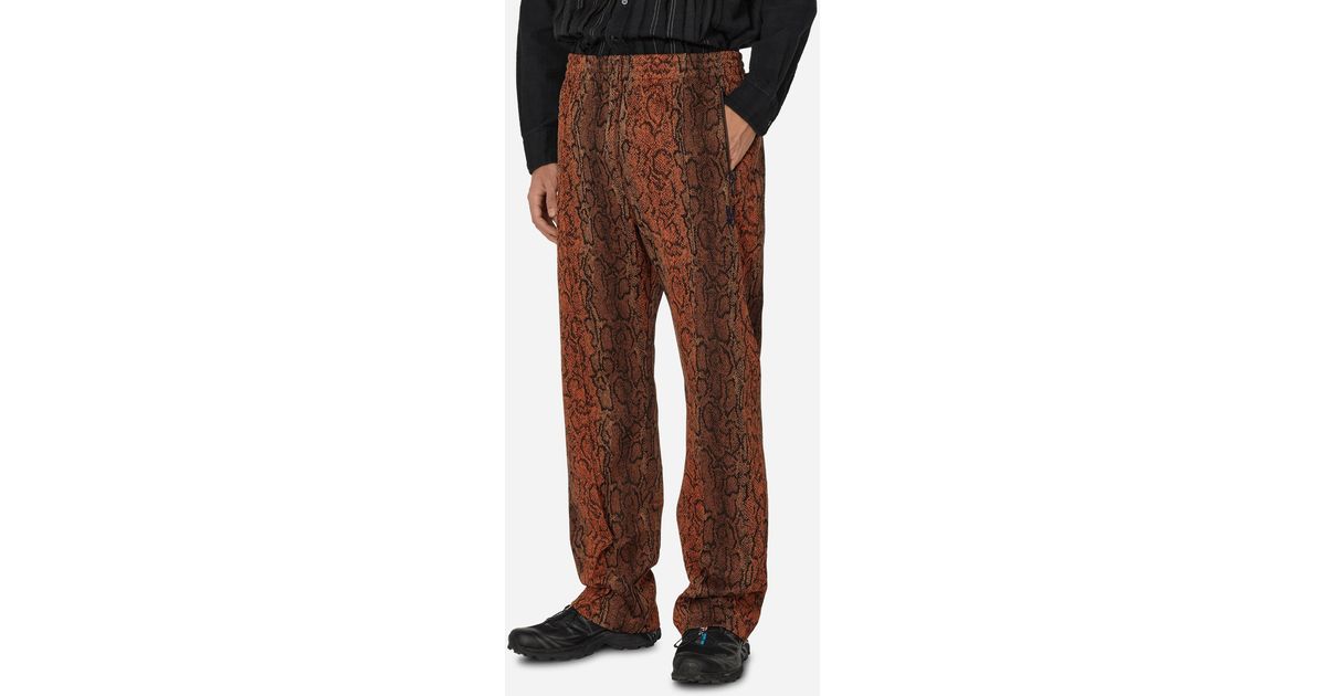 Needles Poly Smooth Track Pants Jacquard Python in Brown for Men