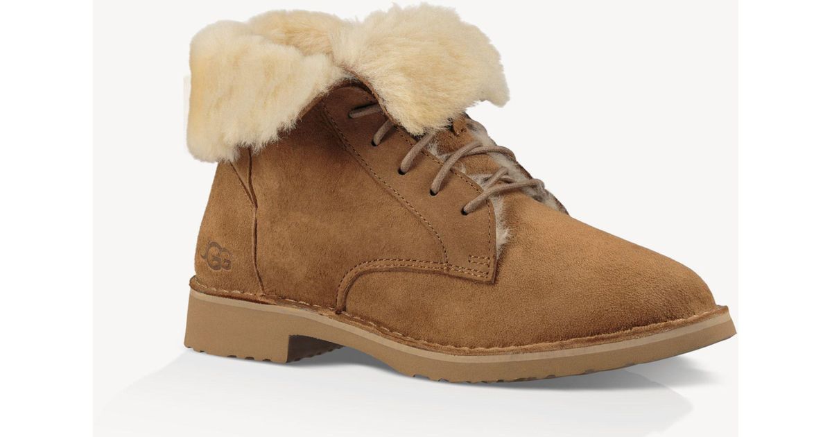 UGG Cotton Quincy Lace Up Boot in Chestnut (Brown) - Lyst