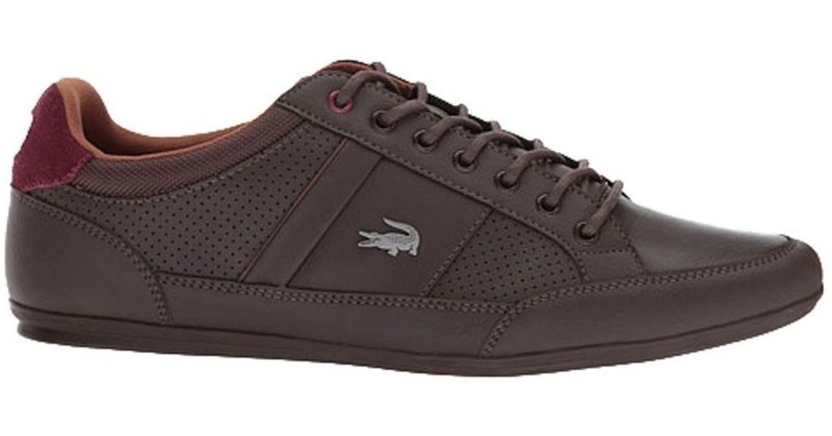 lacoste chaymon 317 1