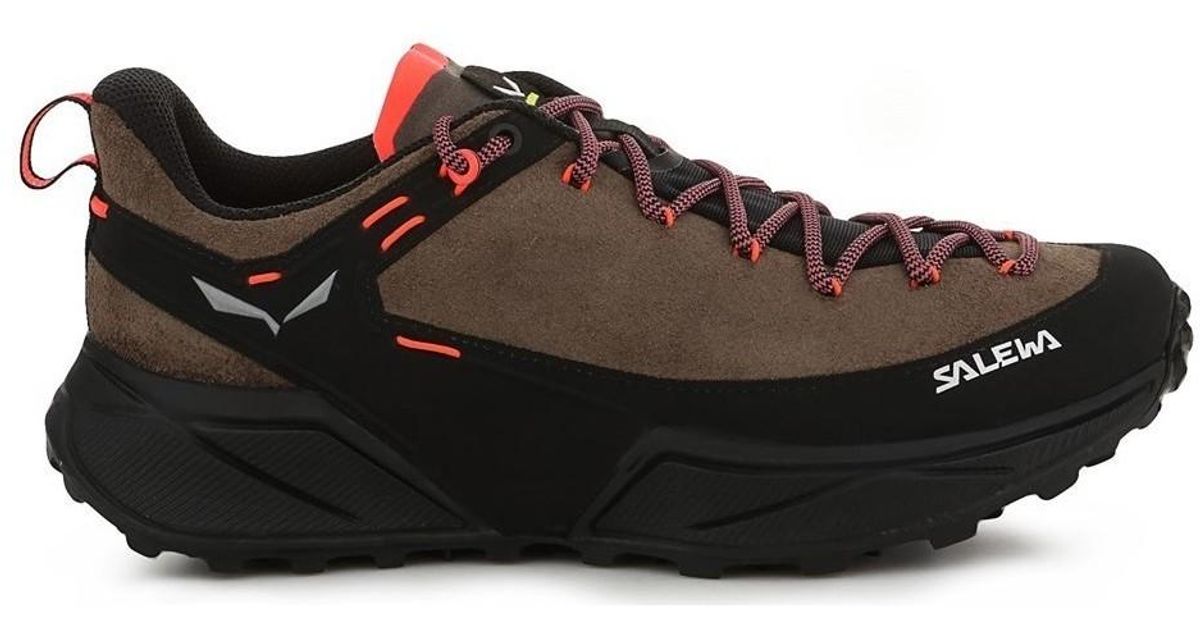 salewa ws dropline