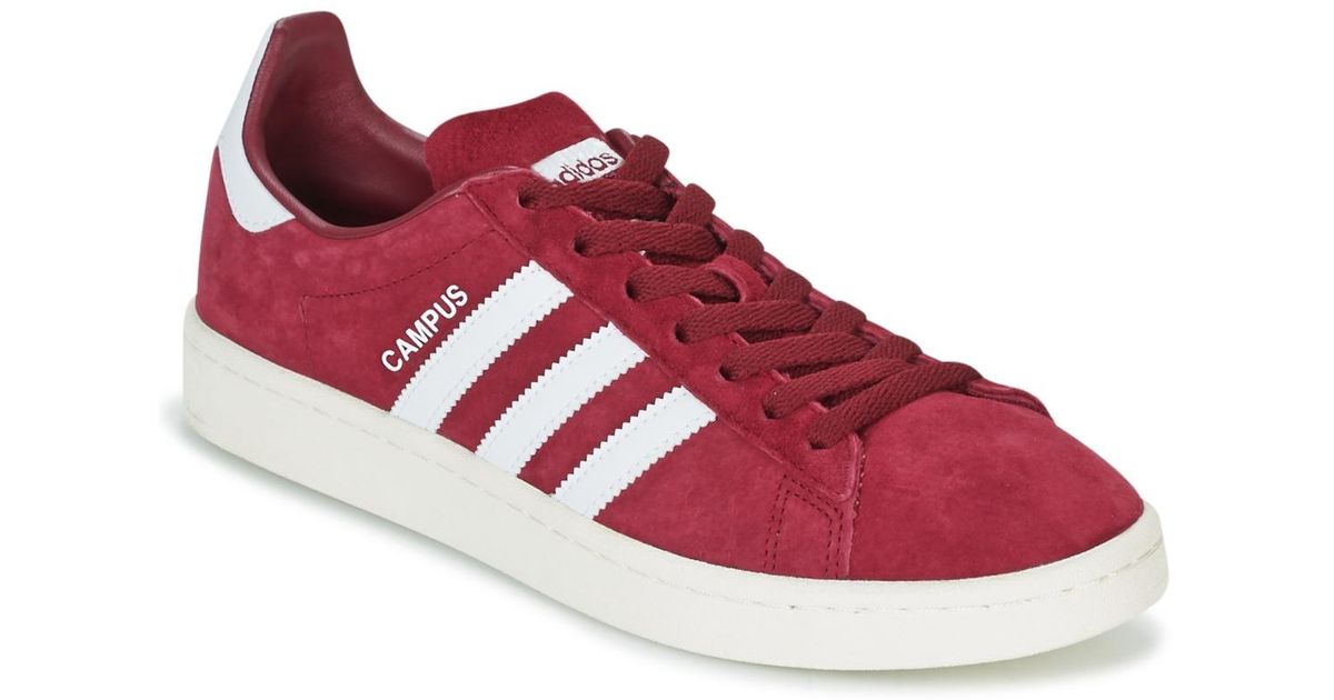 spartoo adidas campus