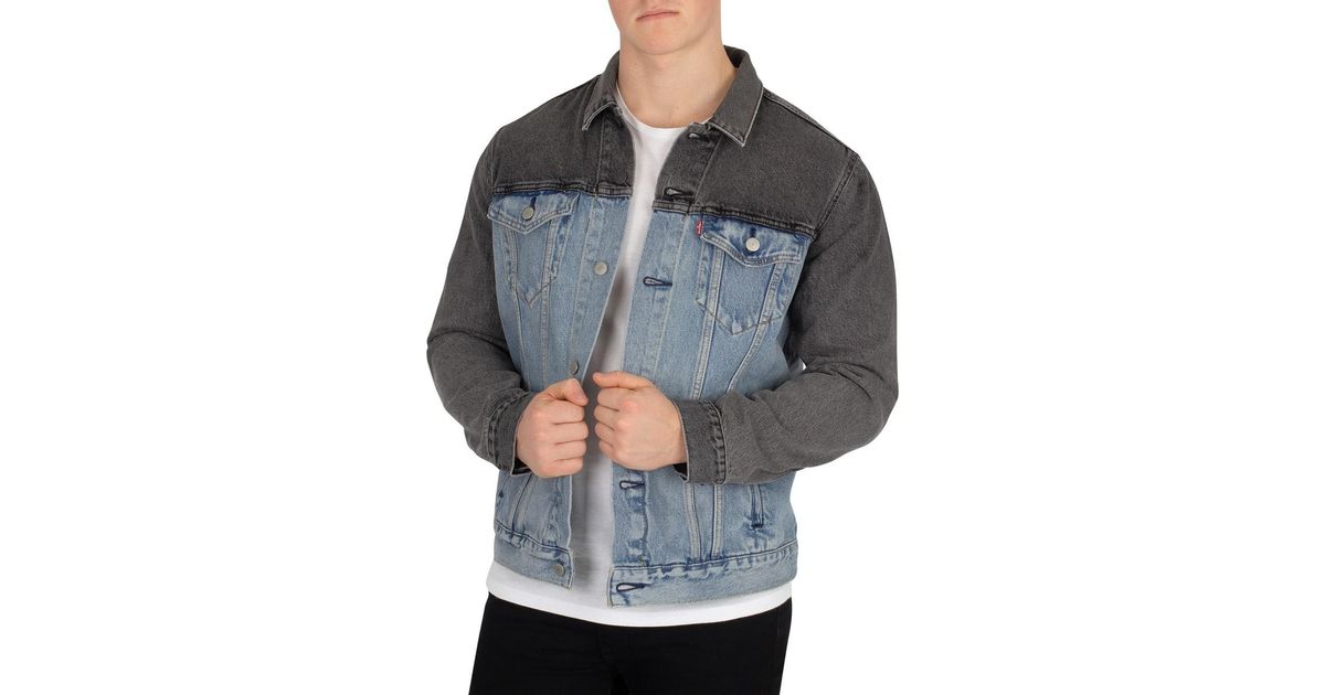levis banzi trucker