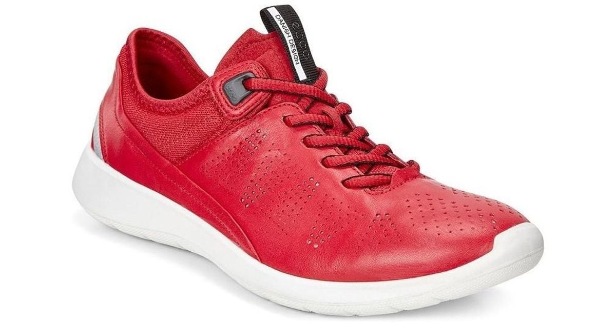 ecco red trainers