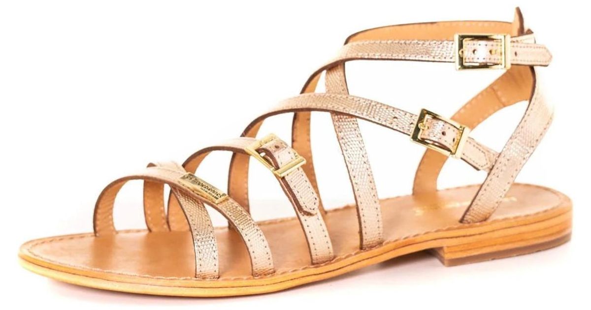 les tropeziennes basket