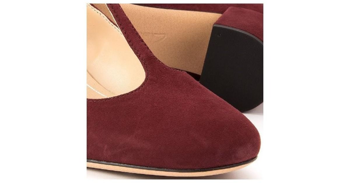 clarks orabella fern