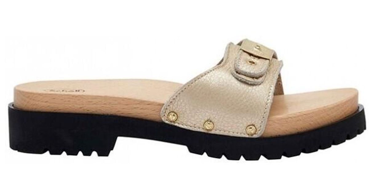 scholl pescura talon