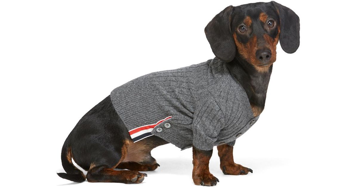 light up packers sweater