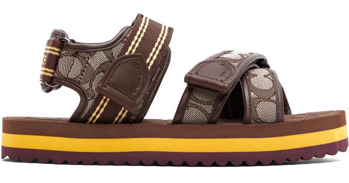 COACH Canvas Sport Sandals in Oak (Black) for Men Lyst UK