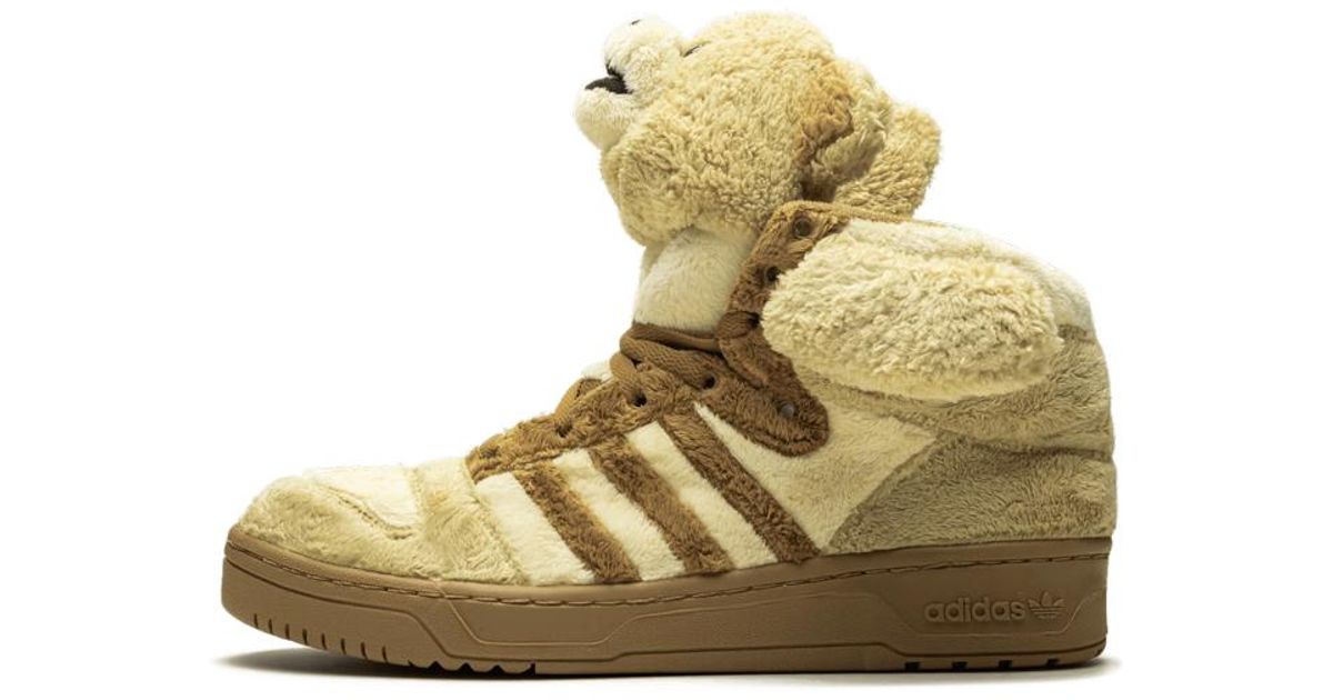 bear shoes adidas