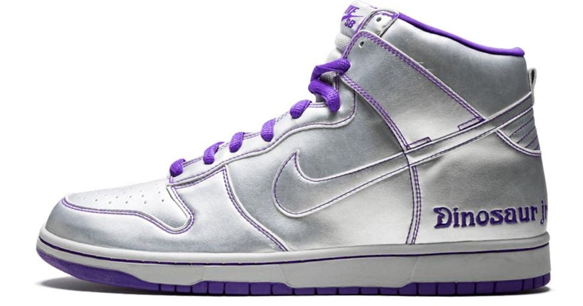 nike dunk dinosaur jr