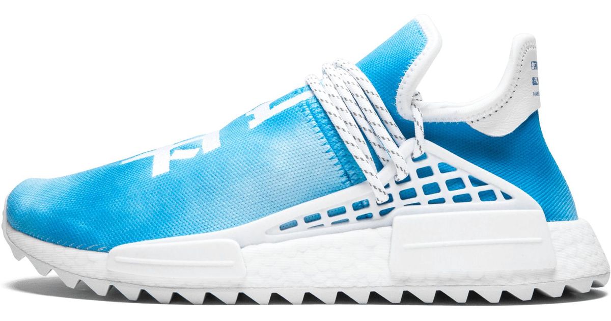blue pharrell adidas shoes