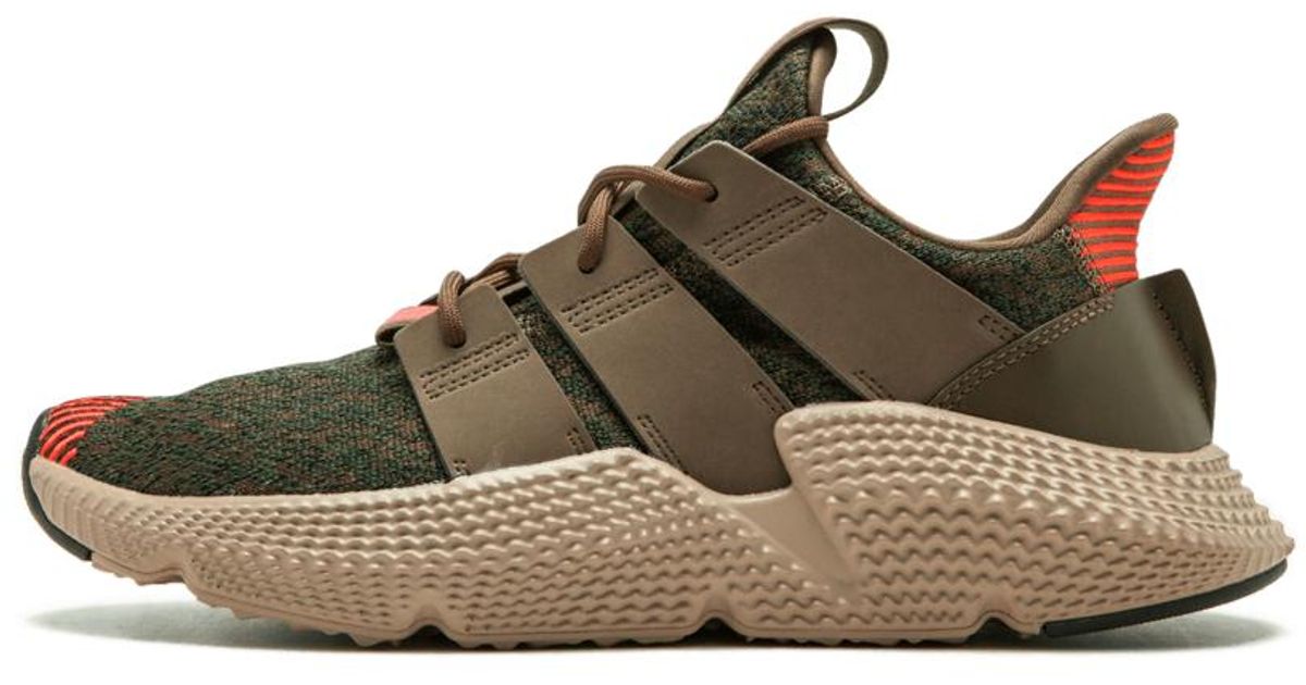adidas prophere 10.5