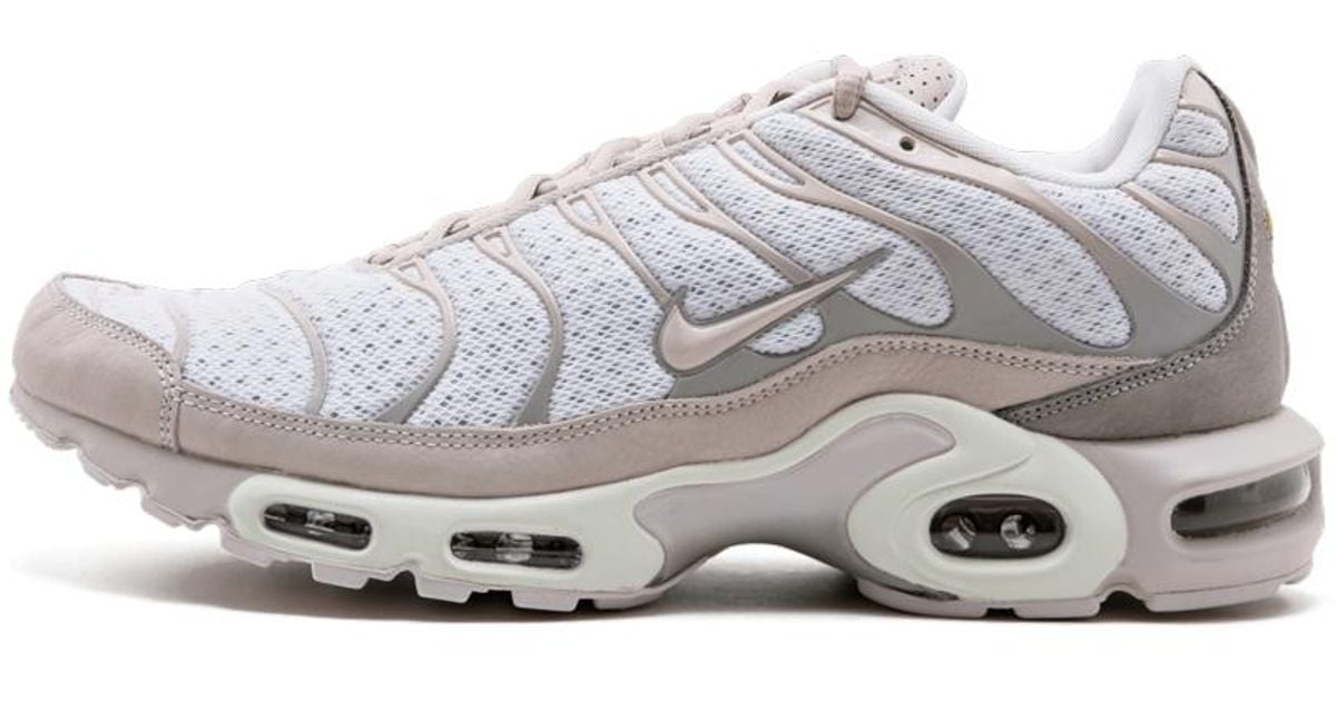 air max plus size 12