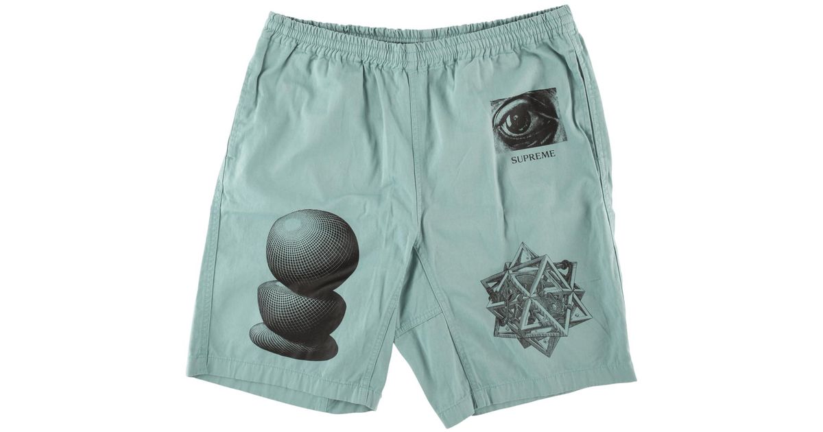 Supreme Mc Escher Shorts 2024 www.hockeyplayer .ar