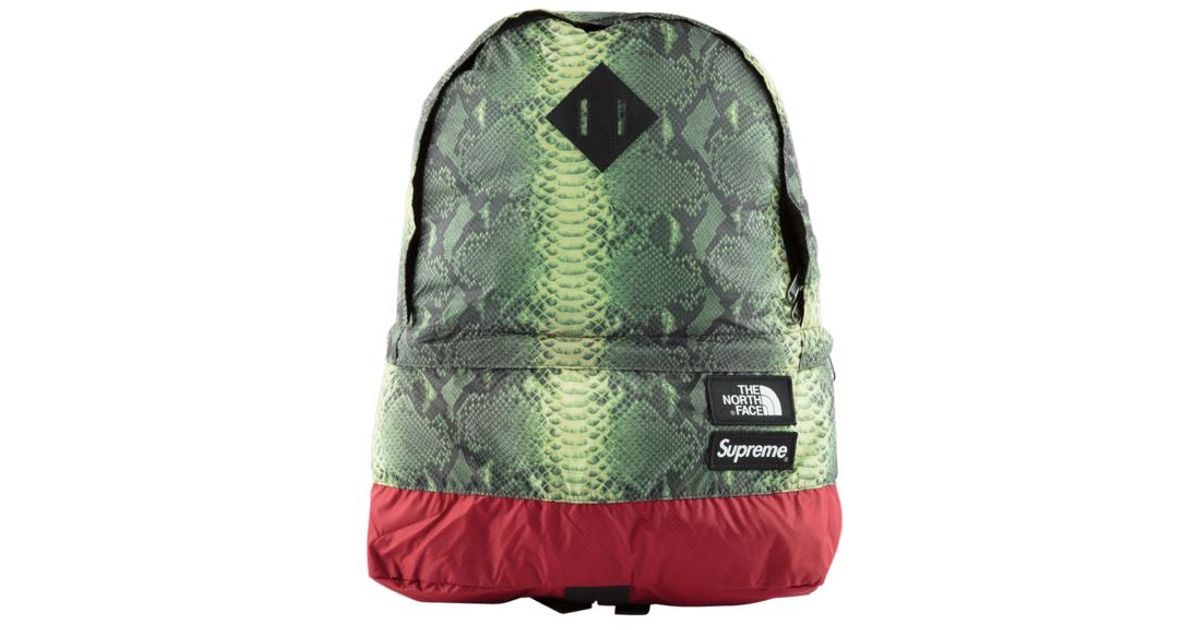 supreme tnf snakeskin backpack