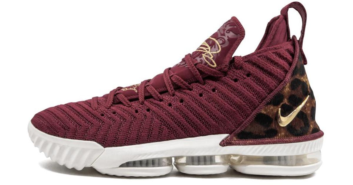 lebron xvi king
