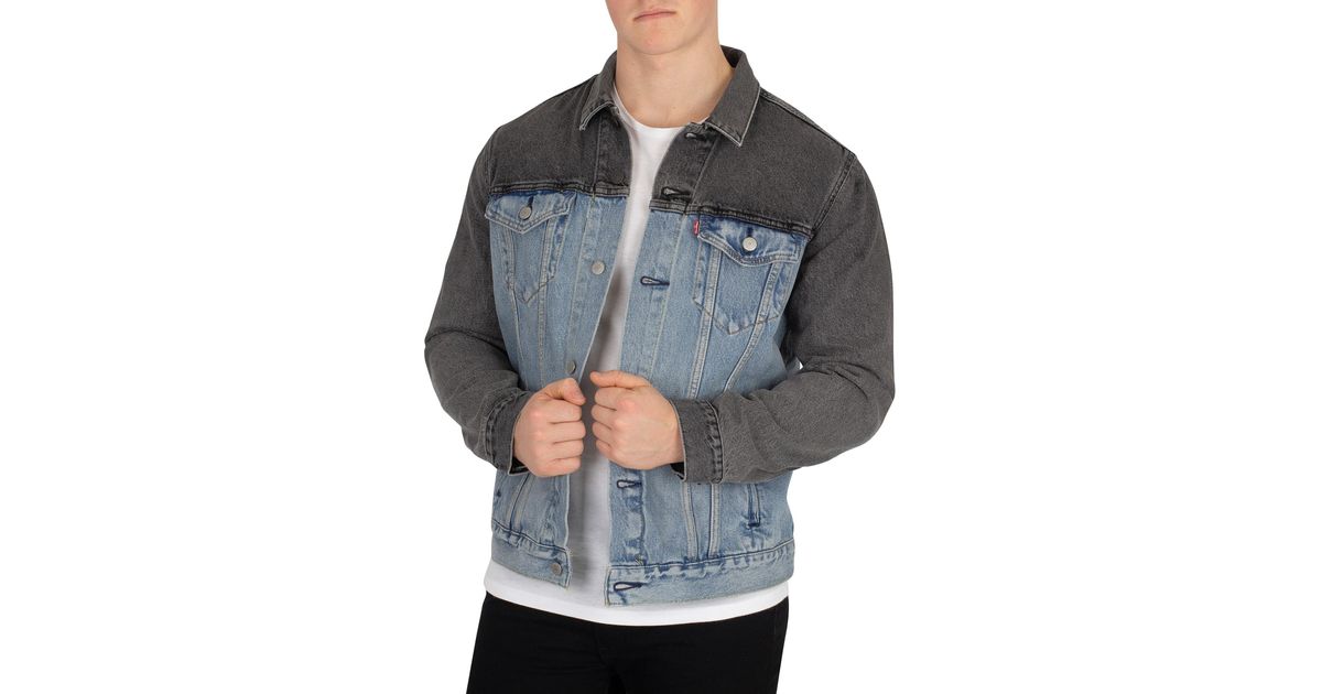 levis banzi trucker