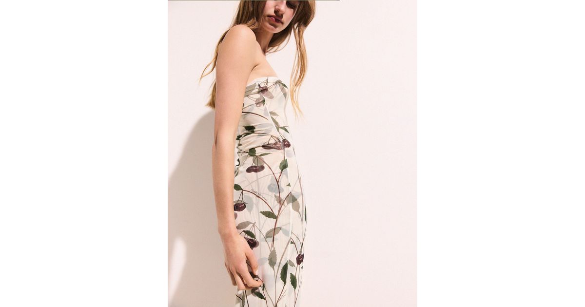 Stella McCartney Cherry Print Mesh Strapless Midi Dress in