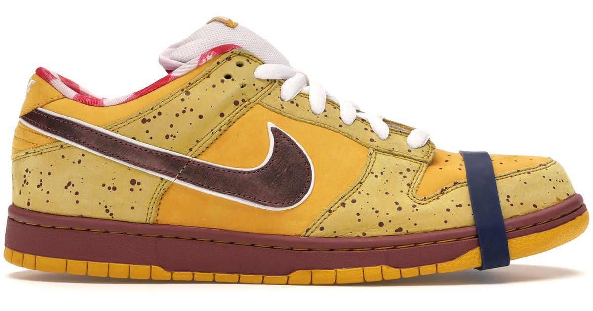 yellow lobster sb