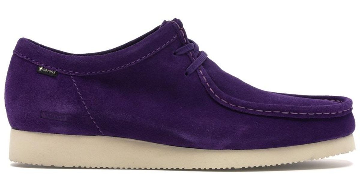 clarks purple