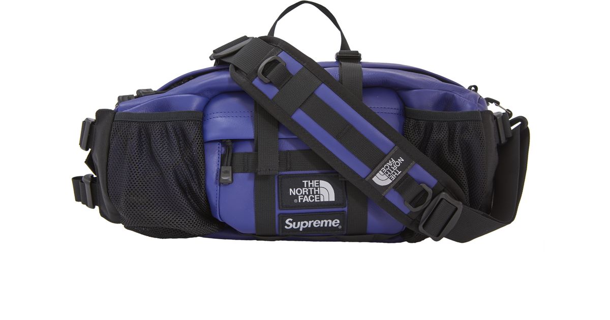 north face leather mountain waist bag