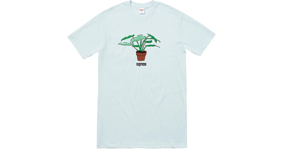 supreme tee blue