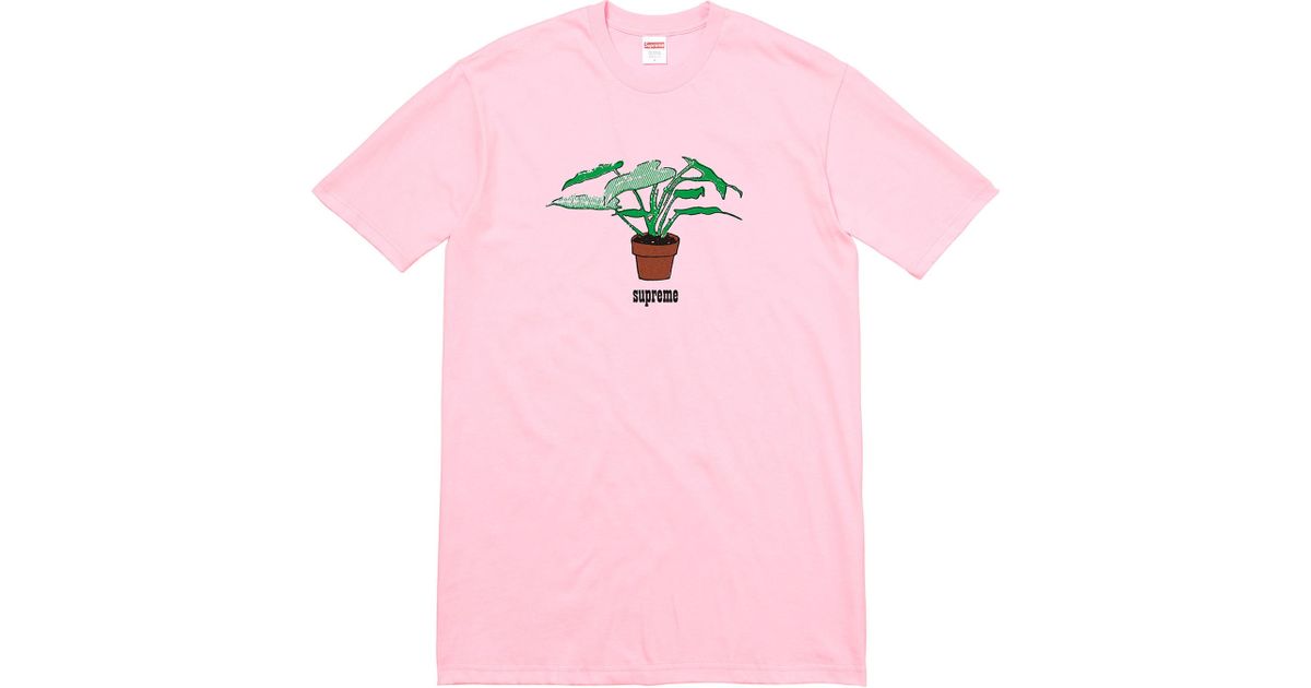 supreme 77 tee
