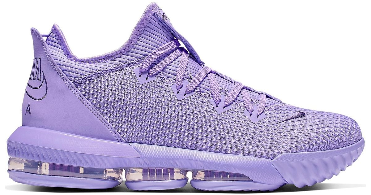 lebron 16 low purple